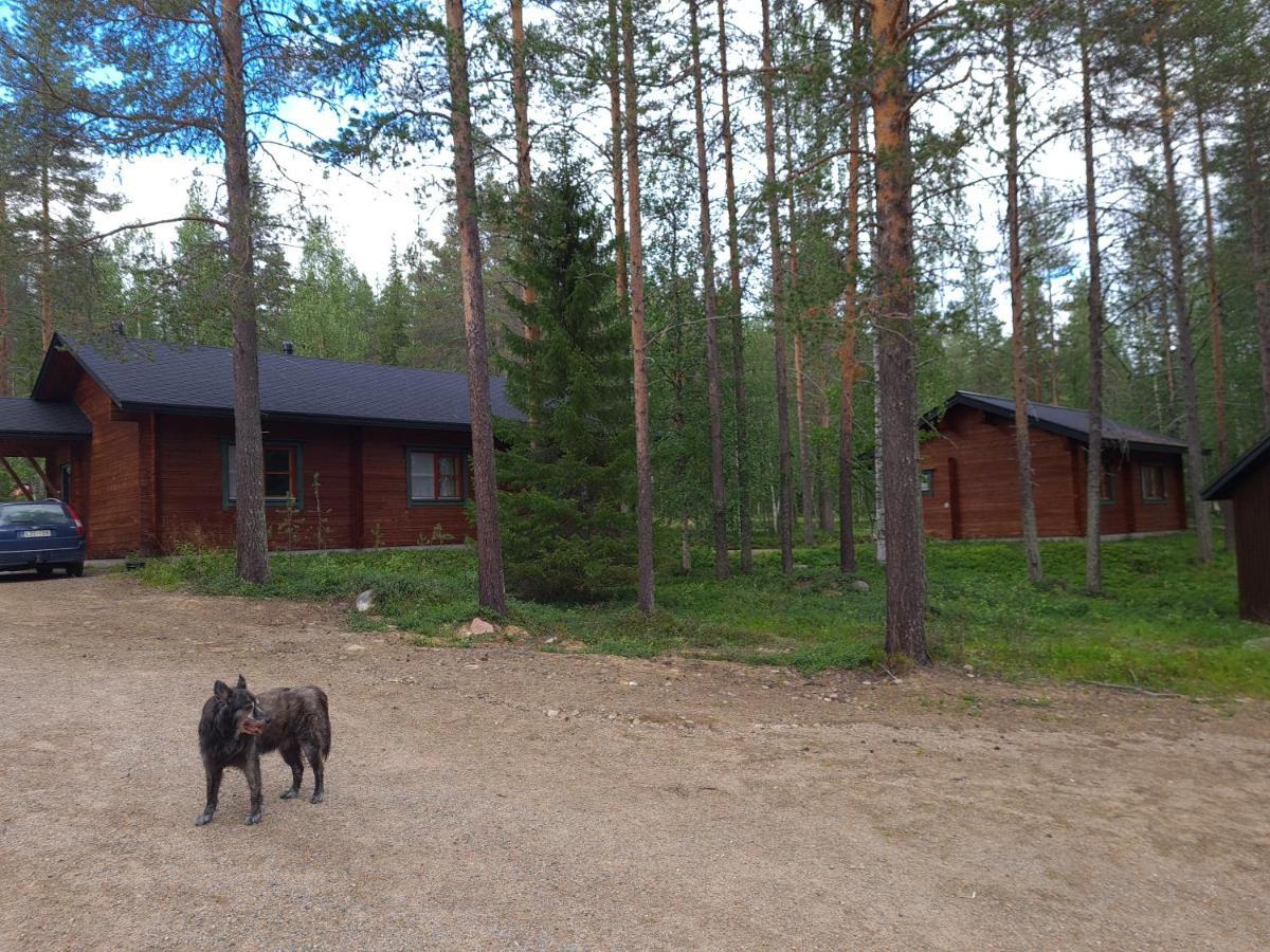 Silver Fox Hostel Äkäslompolo Eksteriør bilde